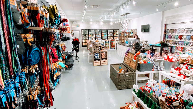 Doodle Dogs - Signal Hill | 1851 Sirocco Dr SW #416, Calgary, AB T3H 4R5, Canada | Phone: (403) 455-3734