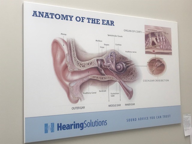 Hearing Solutions | 419 King St W, Oshawa, ON L1J 2K5, Canada | Phone: (855) 818-7365