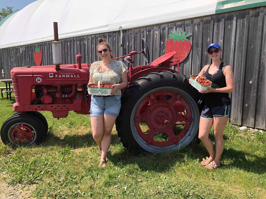 R Family Farm | 3560 3 Line, Cookstown, ON L0L 1L0, Canada | Phone: (705) 812-2373