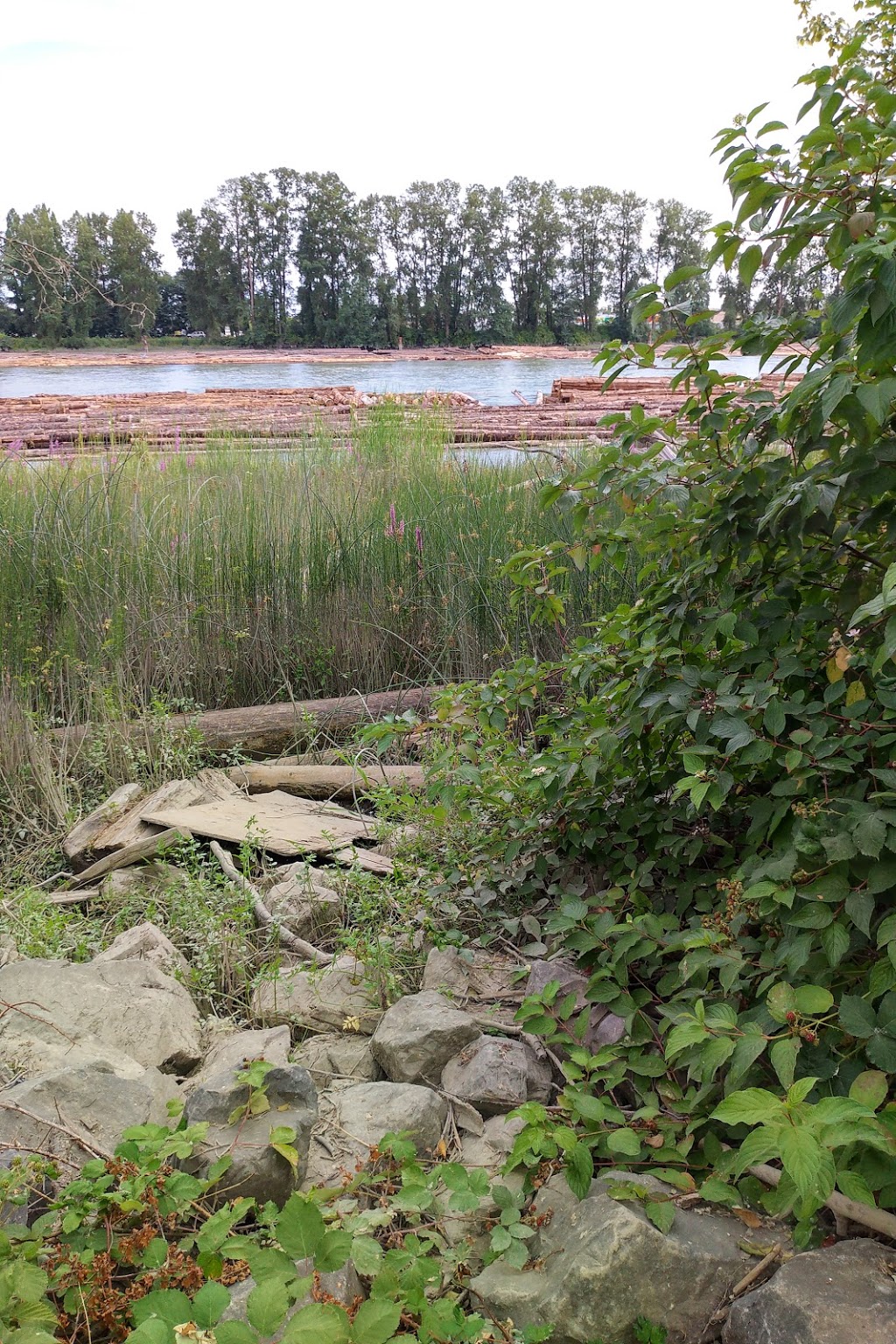 Gladstone-Riverside Park | 2500 East Kent Ave S, Vancouver, BC V5P 4X2, Canada | Phone: (604) 873-7000