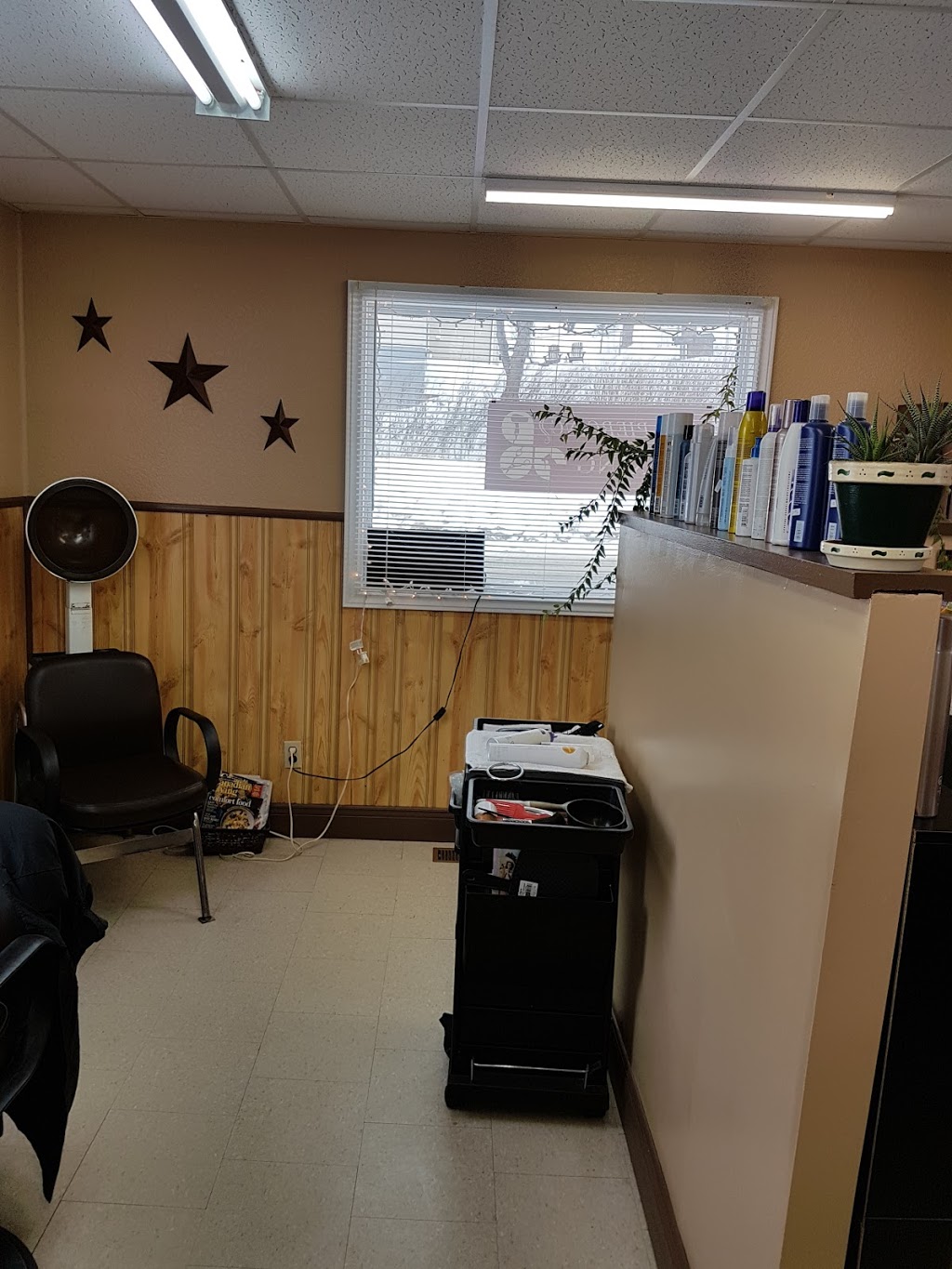 Magic Cuts Ltd | 133 Water St, Carbonear, NL A1Y 1A9, Canada | Phone: (709) 596-3005