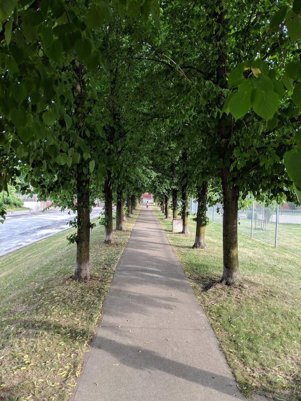 Ledbury Park | 160 Ledbury St, North York, ON M5M 4J1, Canada | Phone: (416) 338-4386