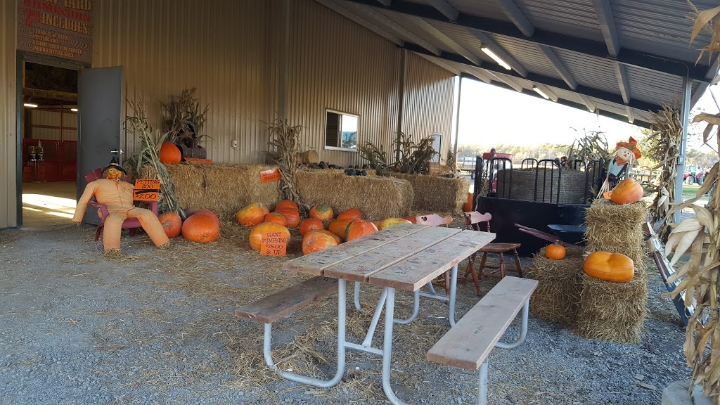 Warner Ranch & Pumpkin Farm | 7705 Schisler Rd, Welland, ON L3B 5N4, Canada | Phone: (905) 384-2684