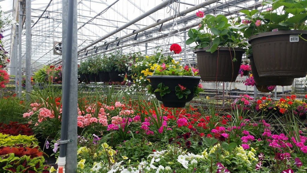 Floral Dimensions | 906 Hwy 20 W, Fenwick, ON L0S 1C0, Canada | Phone: (905) 892-4947