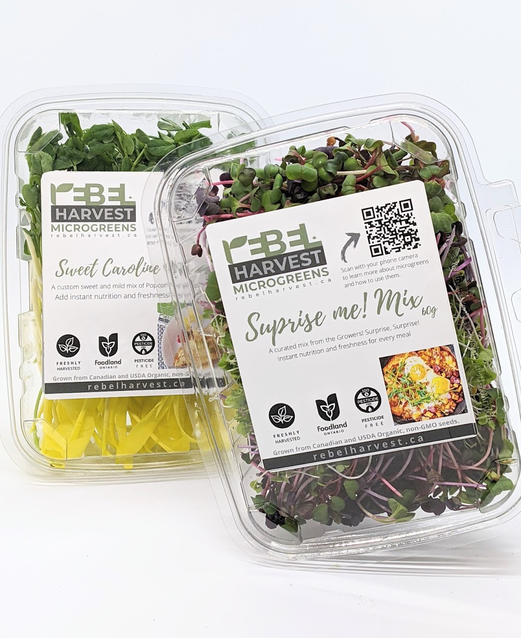 Rebel Harvest Microgreens | 30 Bryan Ct, Kitchener, ON N2A 4J5, Canada | Phone: (647) 860-2130