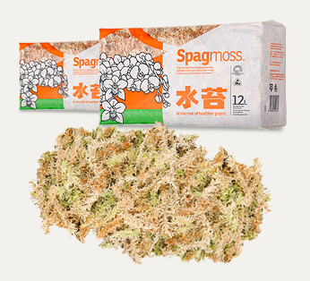 Just Moss Canada | 1494 Powell St, Vancouver, BC V5L 5B5, Canada | Phone: (604) 253-6679