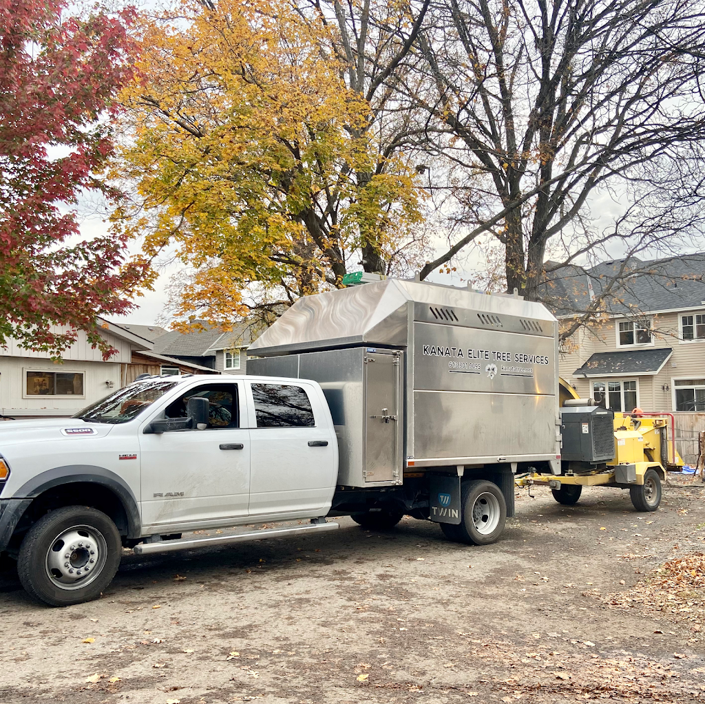 Smiths Falls Elite Tree Services | 138 Queen St, Smiths Falls, ON K7A 3N6, Canada | Phone: (613) 301-9095