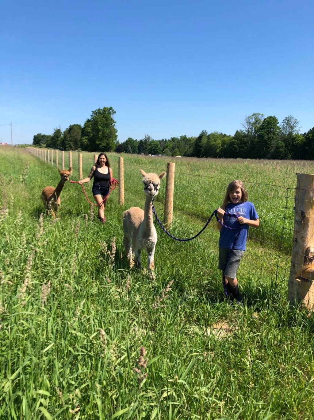 Kavanaugh Farms | 4533 Old Scugog Rd, Bowmanville, ON L1C 6T4, Canada | Phone: (289) 356-1029