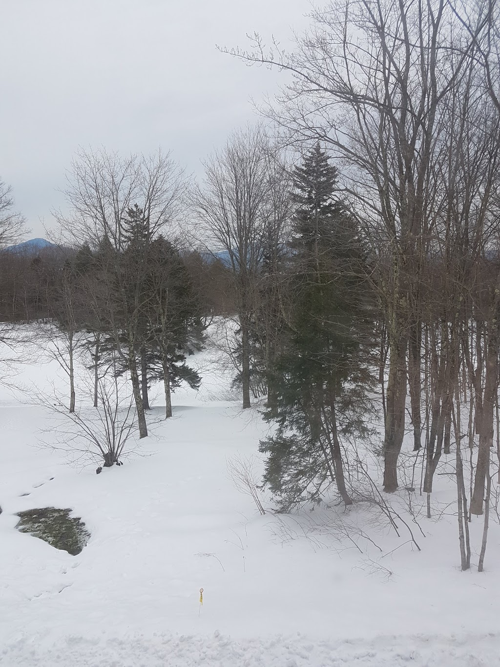 Domaine de highwater | 42-58 Chemin Lafond, Mansonville, QC J0E 1X0, Canada | Phone: (514) 910-1154