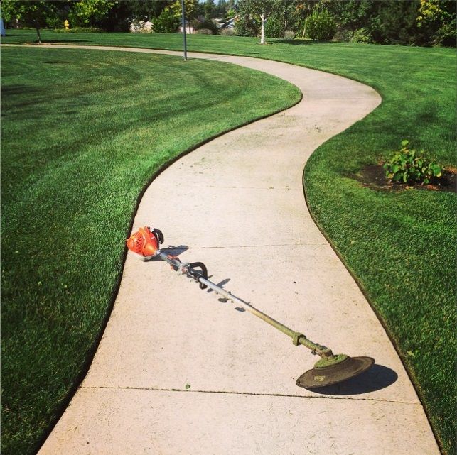 Green Jay Landscaping | 9283 Government St #307, Burnaby, BC V3N 0A5, Canada | Phone: (778) 987-7708