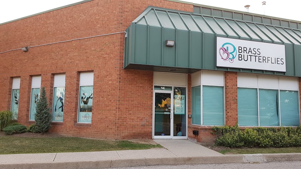 Brass Butterflies | 60 Bathurst Dr #14, Waterloo, ON N2V 2A9, Canada | Phone: (519) 577-7653