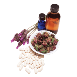 Karine Léger Naturopathe, Homéopathe, Reiki, Hypnose | 358 Rue Principale, Melocheville, QC J0S 1J0, Canada | Phone: (450) 270-0174