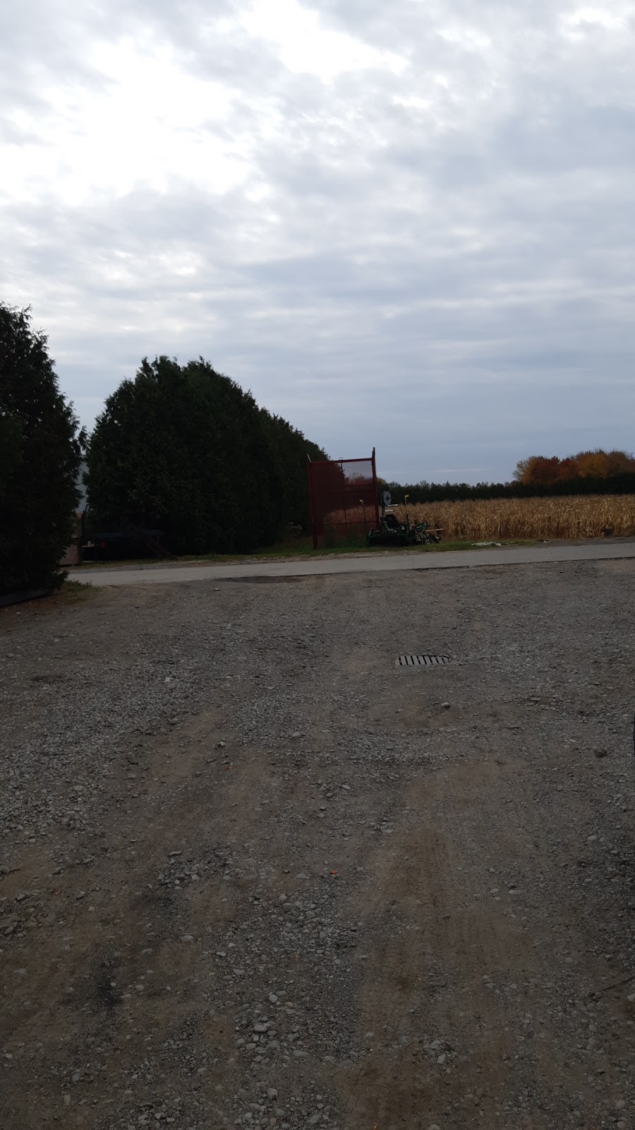 Kukielka produce | 100 Windham Road 6, La Salette, ON N0E 1H0, Canada | Phone: (519) 427-8821