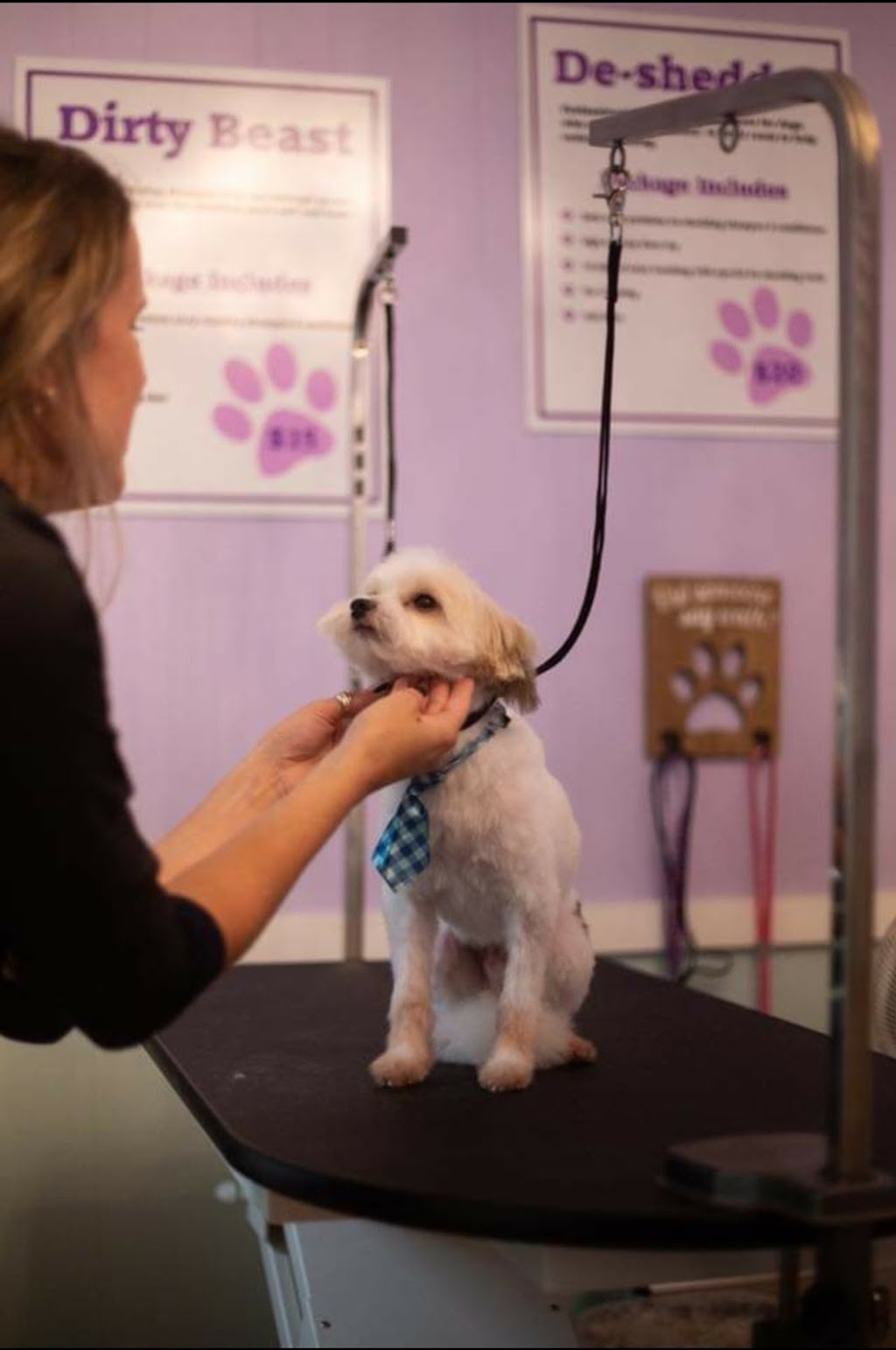 Knotty Dogs Grooming | 30 Roberts St, Ladysmith, BC V9G 1A2, Canada | Phone: (250) 619-0009