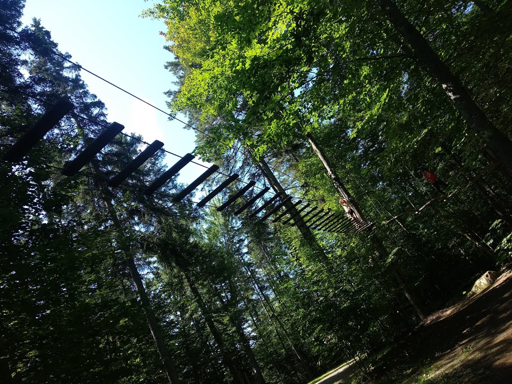 DArbre en Arbre | 435 Chemin Ernest-Martin, Marston, QC G0Y 1G0, Canada | Phone: (819) 583-3965