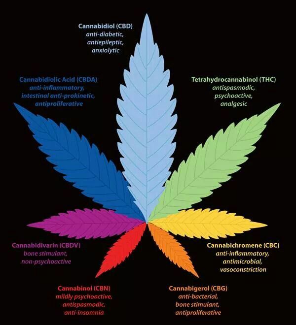 CBD Oils Canada Superstore | Available online only for now, Edmonton, AB T6J 6L7, Canada | Phone: (780) 231-6500