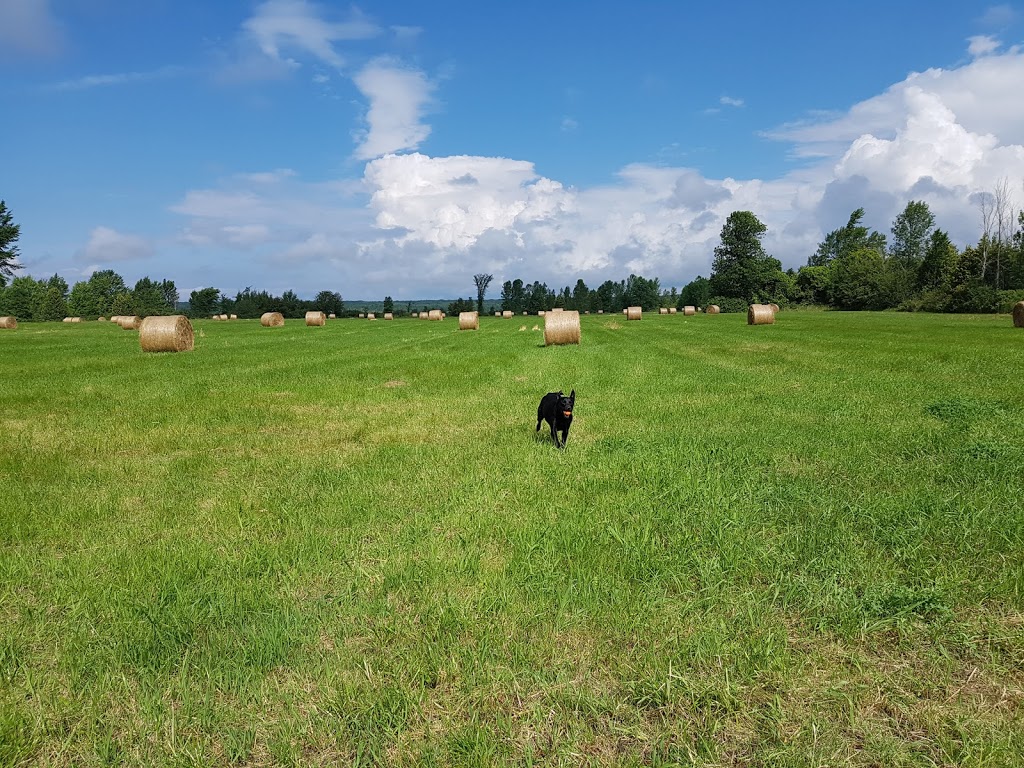 Tiny Marsh Provincial Wildlife Area | 500 Tiny Flos Townline, Elmvale, ON L0L 1P0, Canada | Phone: (705) 322-2200