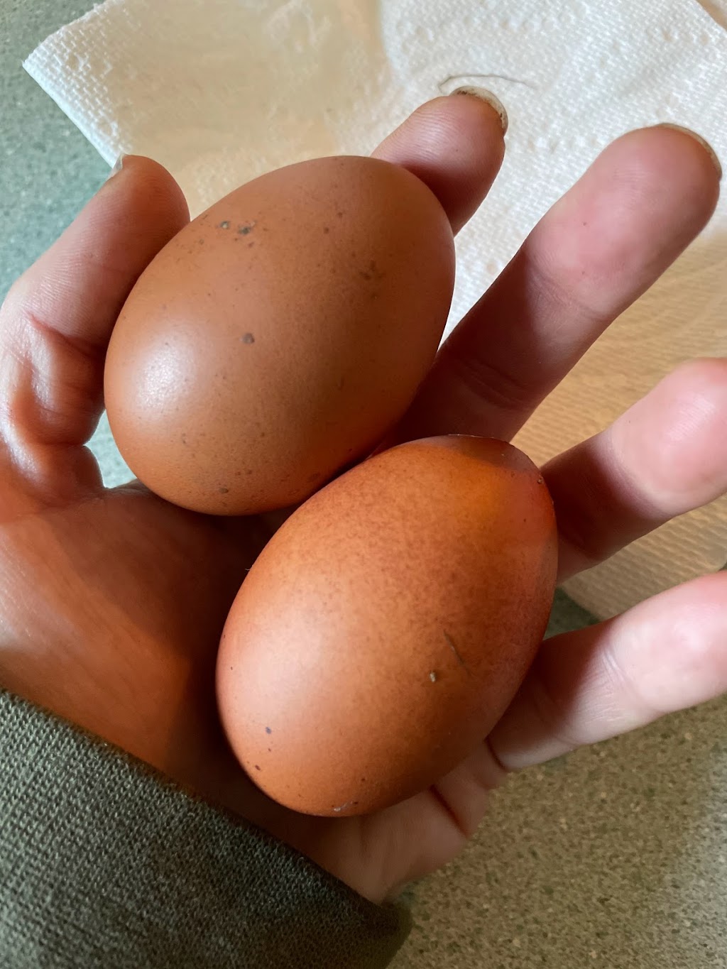 Black Label Farm Stand | 6199 Dunboyne Rd, Courtenay, BC V9J 1M8, Canada | Phone: (250) 709-2645