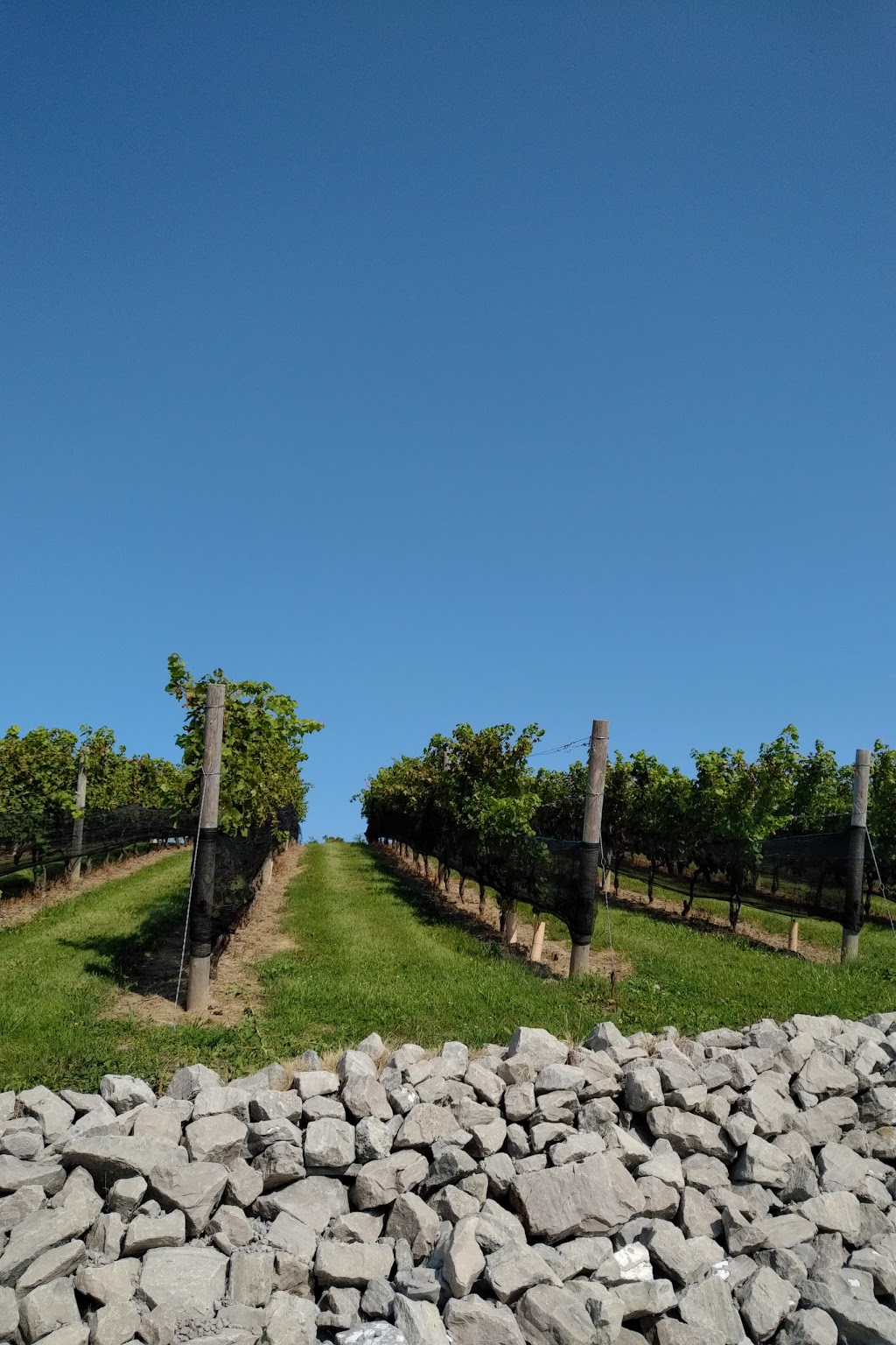 Malivoire Wine Company | 4260 King St, Beamsville, ON L0R 1B0, Canada | Phone: (866) 644-2244