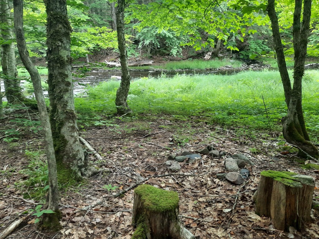 White Rock River Hike | Deep Hollow Rd, Wolfville, NS B4P 2R2, Canada | Phone: (902) 476-1613