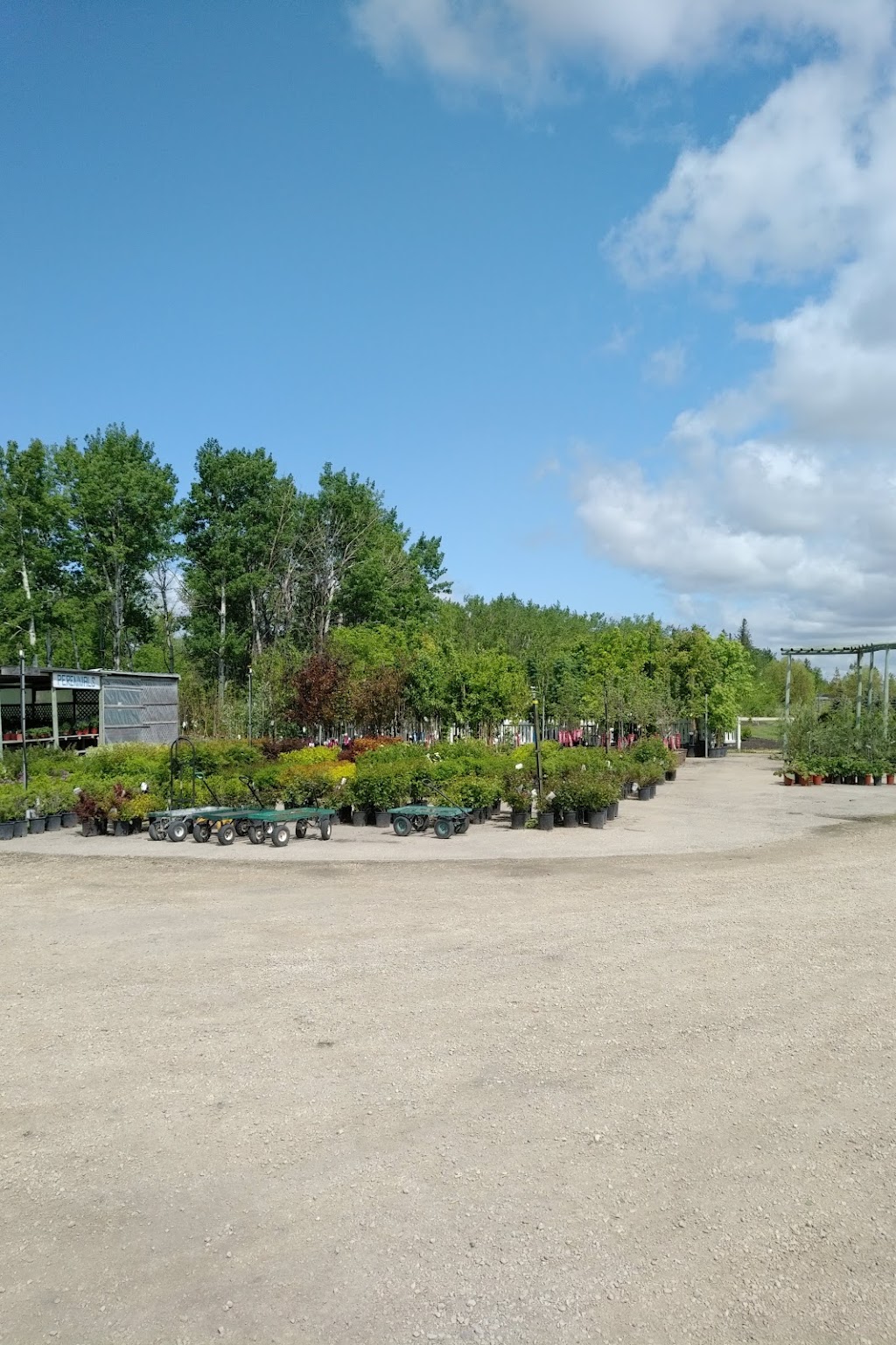 Minerva Tree Farms and Nursery | 108041 8 Pth, Gimli, MB R0C 1B0, Canada | Phone: (204) 642-8643