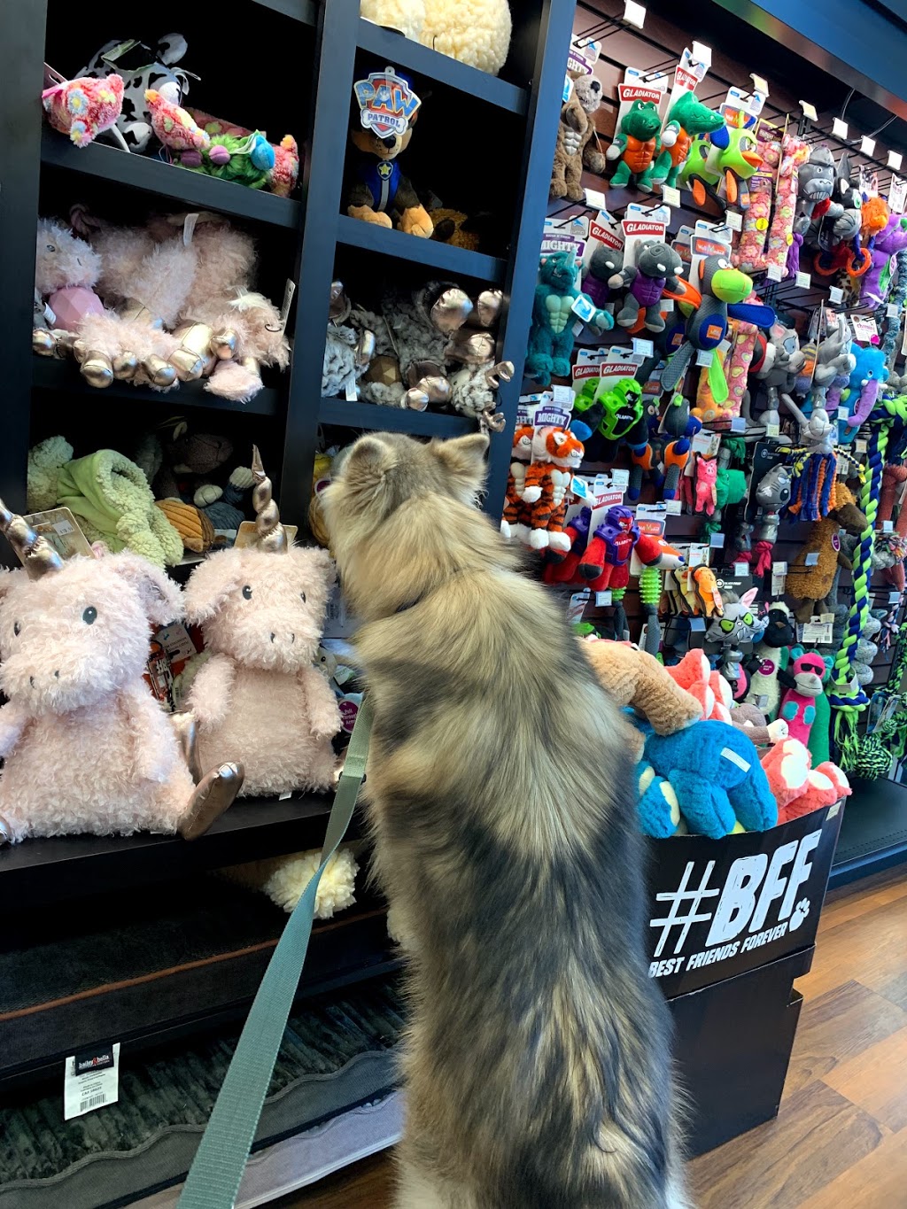 Bosleys by Pet Valu | 4731 Mcclelland Rd, Richmond, BC V6X 0M5, Canada | Phone: (604) 214-9937