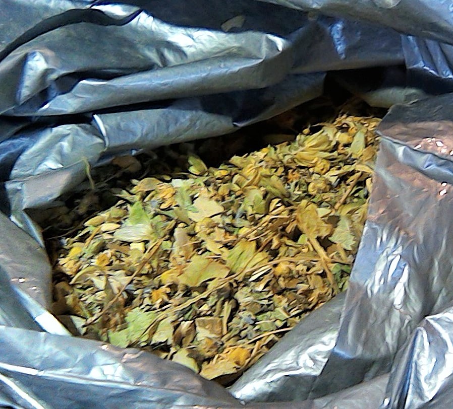 Sweetgrass Naturals | 110, 23343 Mavis Ave, Langley Twp, BC V1M 2R6, Canada | Phone: (778) 298-0016