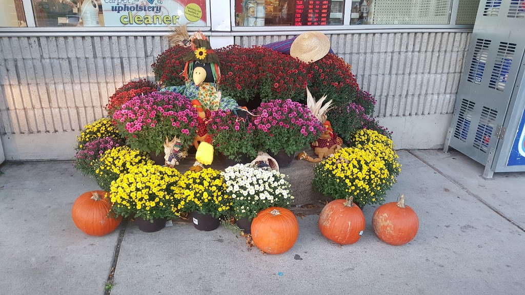Foodland - Victoria Harbour | 178 John St, Victoria Harbour, ON L0K 2A0, Canada | Phone: (705) 534-7831