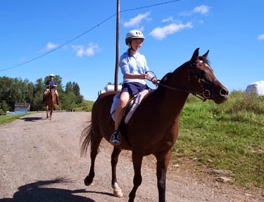 McCrea Farms | Shannon, NB E5T 4G2, Canada | Phone: (506) 434-2246