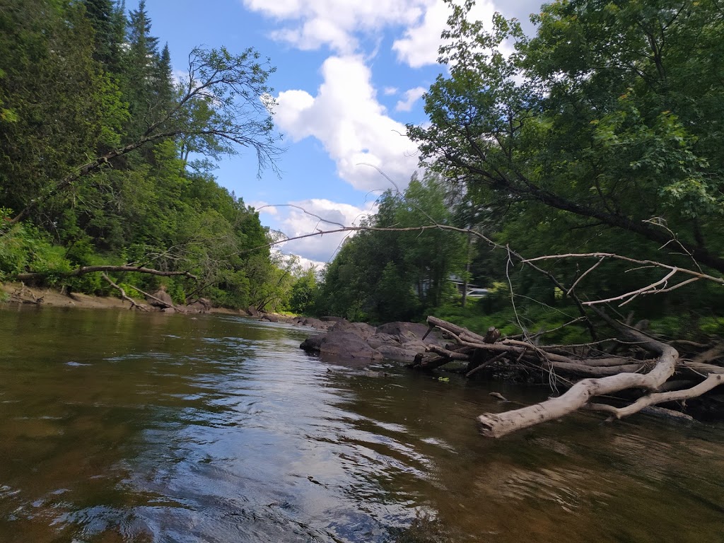 Canoe-Kayak Arundel | 31 Route Morrison, Arundel, QC J0T 1A0, Canada | Phone: (819) 687-3607