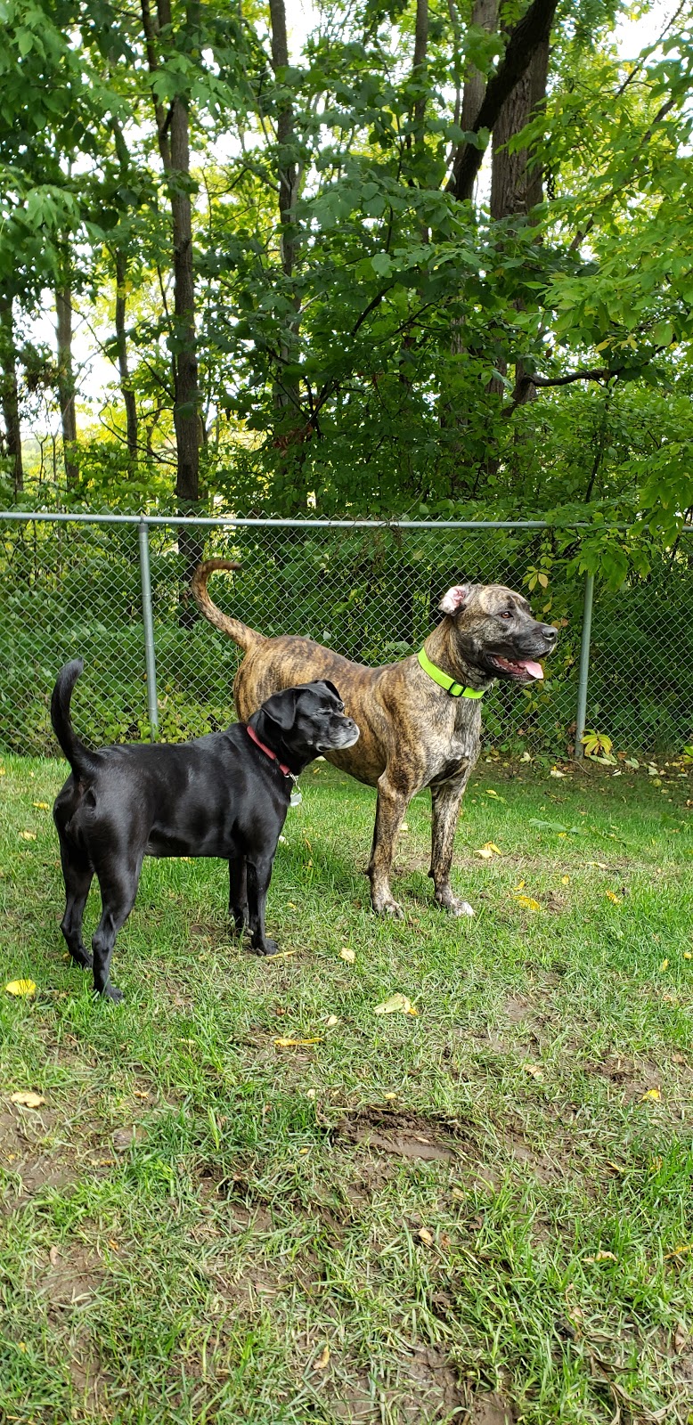 Ontario SPCA - Orillia Animal Centre | 467 West Street N, Orillia, ON L3V 5G1, Canada | Phone: (705) 325-1304