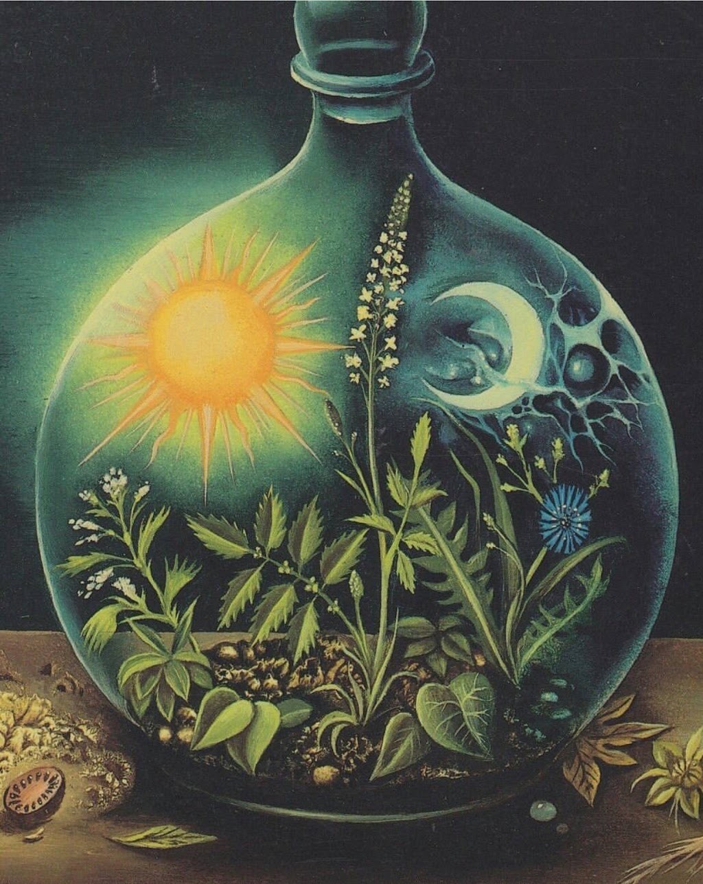 We Are Made of Stars Astrology | 3015 Manzer Rd, Sooke, BC V9Z 0C9, Canada | Phone: (250) 588-1040
