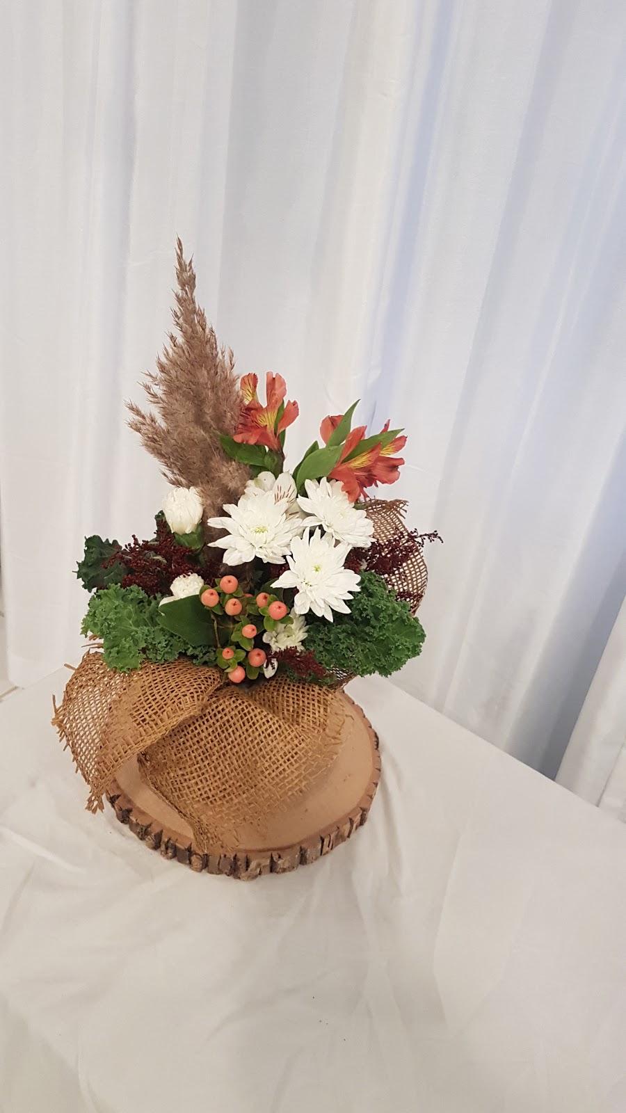 Aster & Evergreen | 2119 Dundas St Box 385, Cardinal, ON K0E 1E0, Canada | Phone: (343) 260-9911