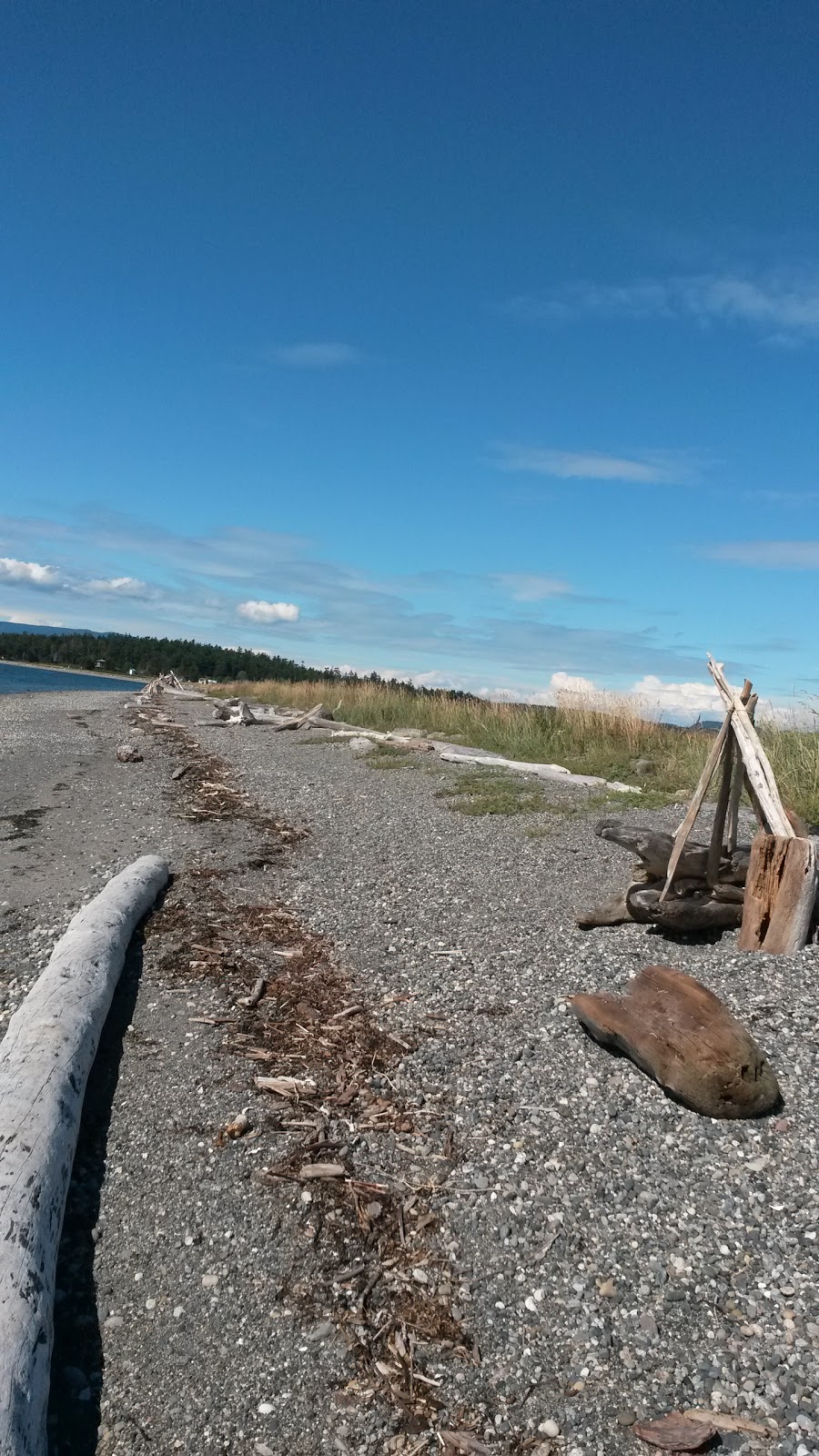 Otis Perkins Day Park | 623-, 1396 Bayshore Rd, Lopez Island, WA 98261, USA
