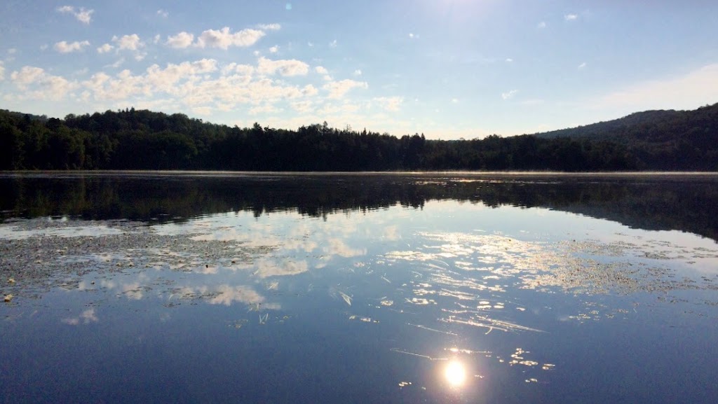 Cottage Dreams | 252 King St, Barrie, ON UNIT #4, Canada | Phone: (705) 457-9100