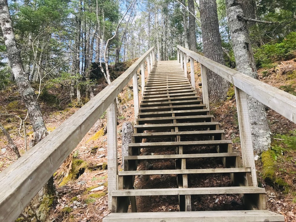 Indian Falls | 1591 Newburne Rd, Barss Corner, NS B0R 1A0, Canada | Phone: (709) 673-3227