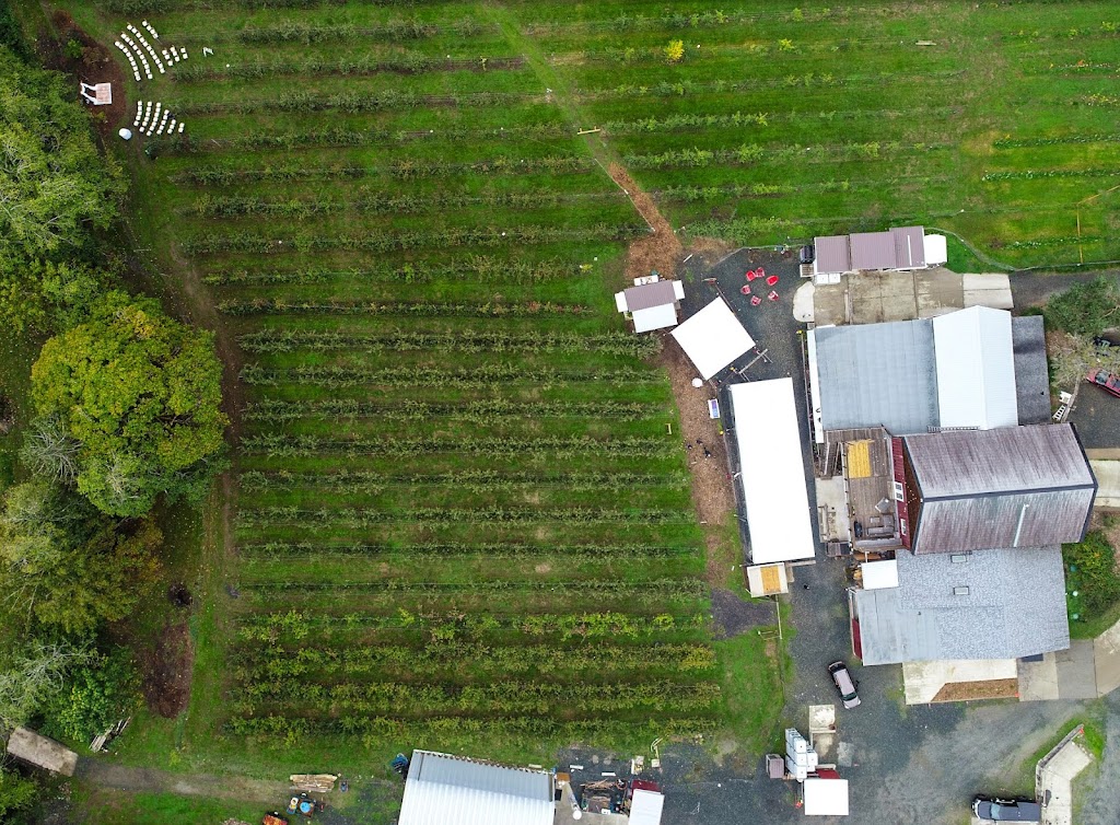 Junction Orchard & Cidery | 273 Prospect Lake Rd, Victoria, BC V9E 1J7, Canada | Phone: (250) 580-4723