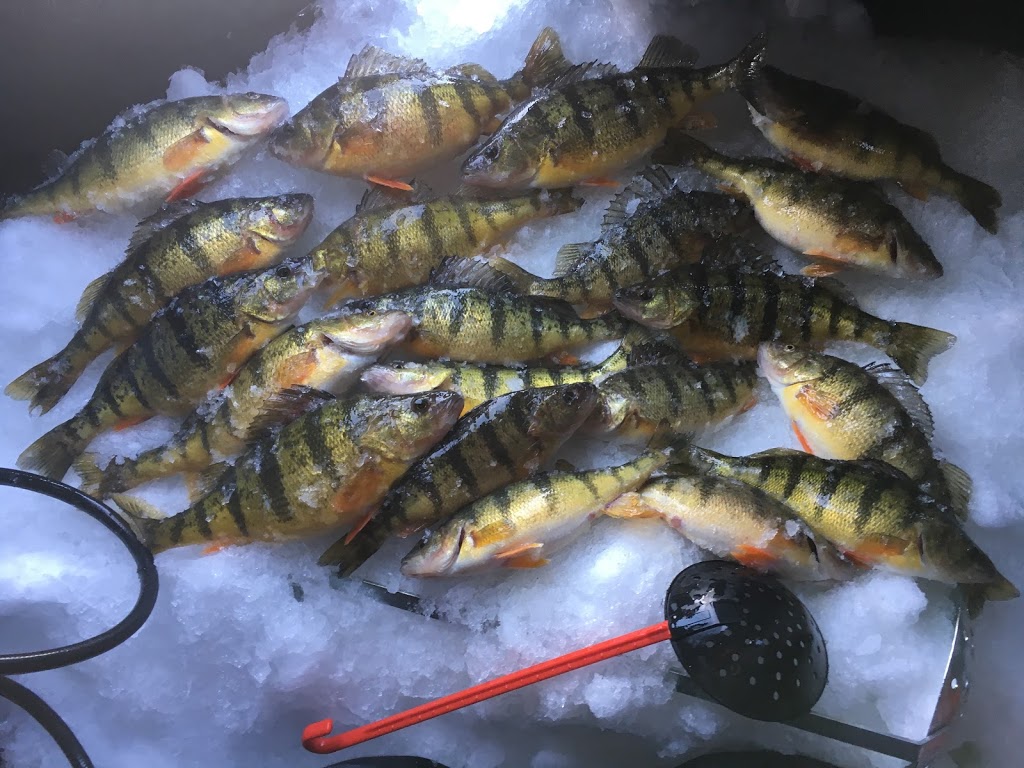 Fish On Ice Fishing Guides | 50 Lake Dr N, Keswick, ON L4P 1A5, Canada | Phone: (647) 818-1359