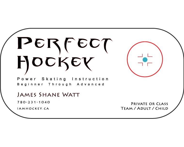Perfect Hockey | 18 Park Ridge Crescent NW, Edmonton, AB T6P 1E9, Canada | Phone: (780) 231-1040