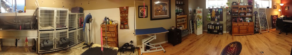 Mimis Pet Grooming | 2242 Foxmead Rd, Coldwater, ON L0K 1E0, Canada | Phone: (705) 238-2397