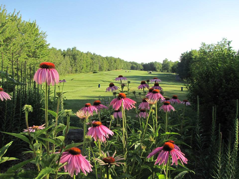 Club De Golf Le Rocher De Roxton Pond | de Roxton, 821 4e Rang, Roxton Pond, QC J0E 1Z0, Canada | Phone: (450) 777-5888