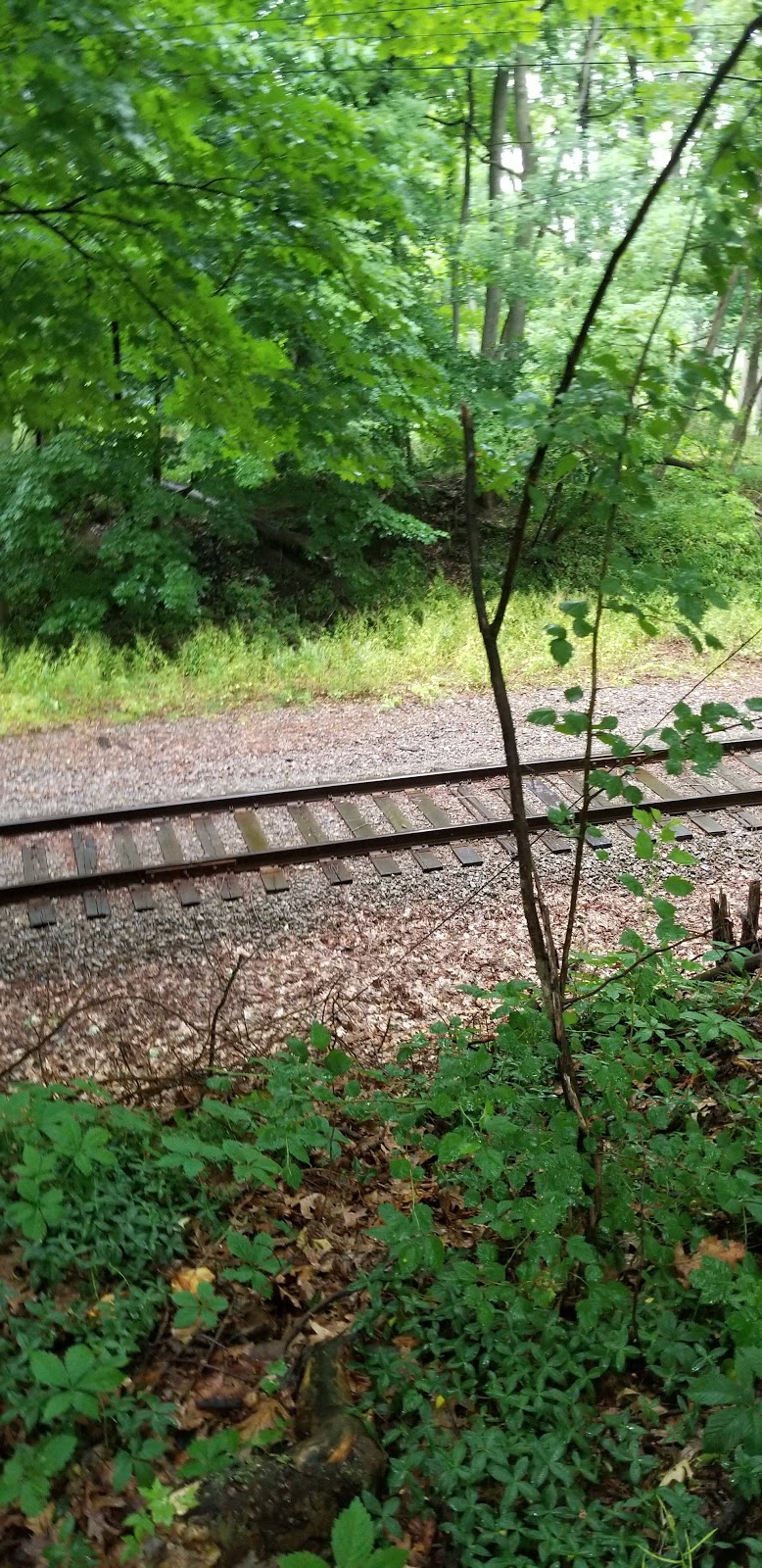 Cold Spring Cemetery | 4849 Cold Springs Rd, Lockport, NY 14094, USA | Phone: (716) 434-3450