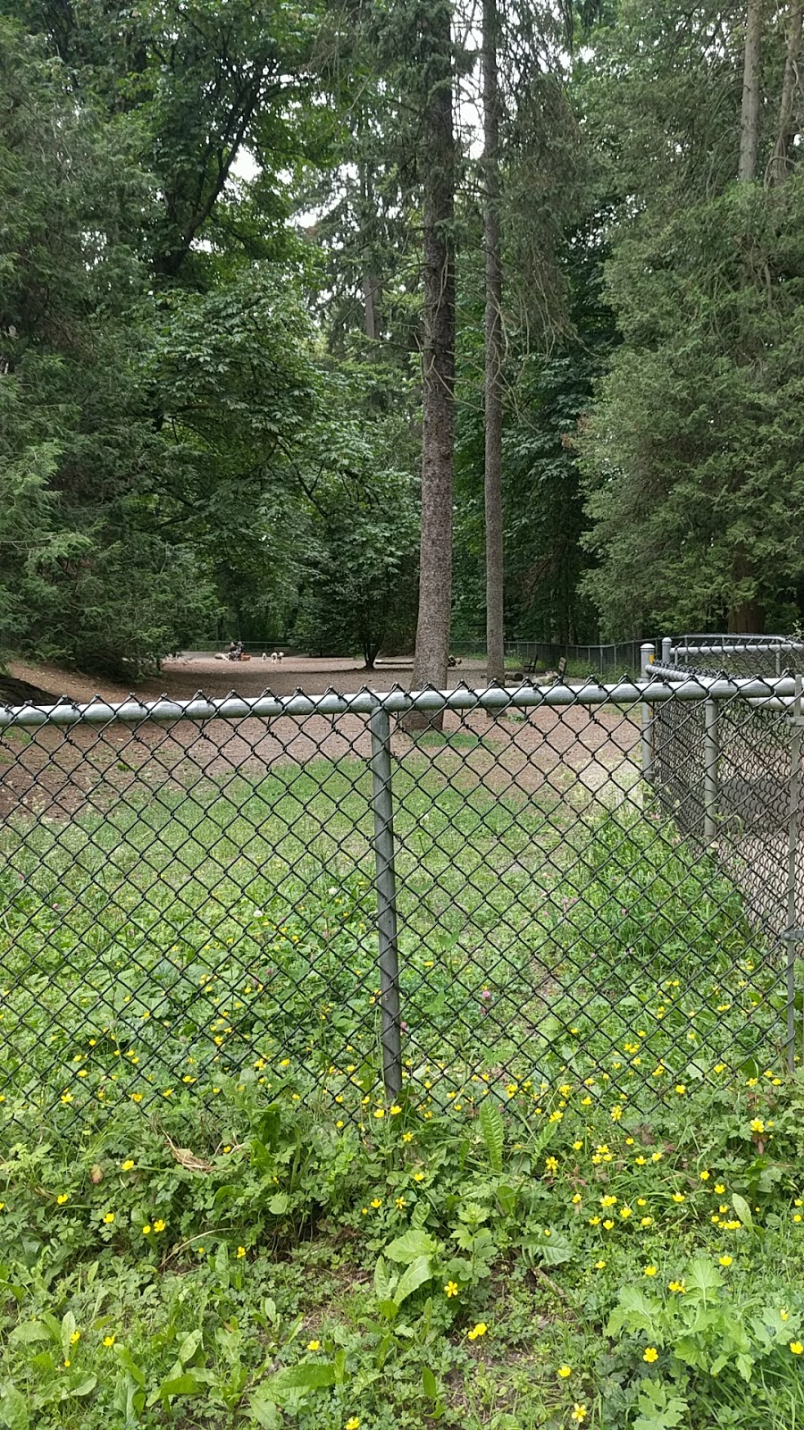 Queens Park Dog Park | Unnamed Road, New Westminster, BC V3L, Canada