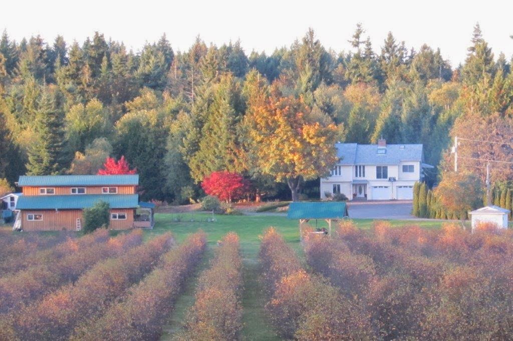 South Island Saskatoons | 1245 Fisher Rd, Cobble Hill, BC V0R 1L4, Canada | Phone: (250) 743-9464