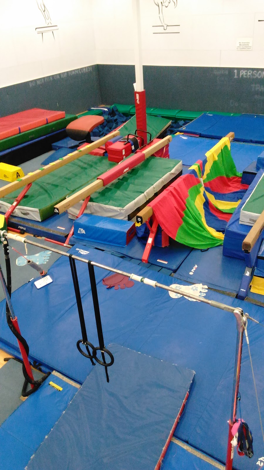 St Albert Gymnastics Club | 2A Riel Dr, St. Albert, AB T8N 3Z7, Canada | Phone: (780) 459-4256