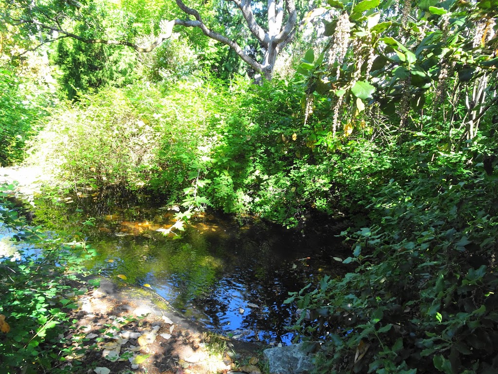 Oak Bay Native Plant Garden | 1178 Beach Dr, Victoria, BC V8S 3A8, Canada | Phone: (250) 592-7275