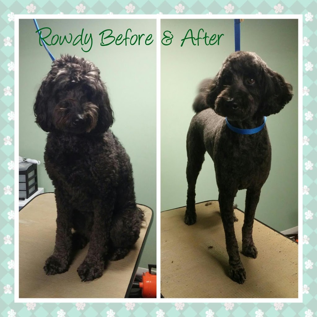 Sit, Stay, Style Dog Grooming | box 2025, Fort QuAppelle, SK S0G 1S0, Canada | Phone: (306) 745-8602