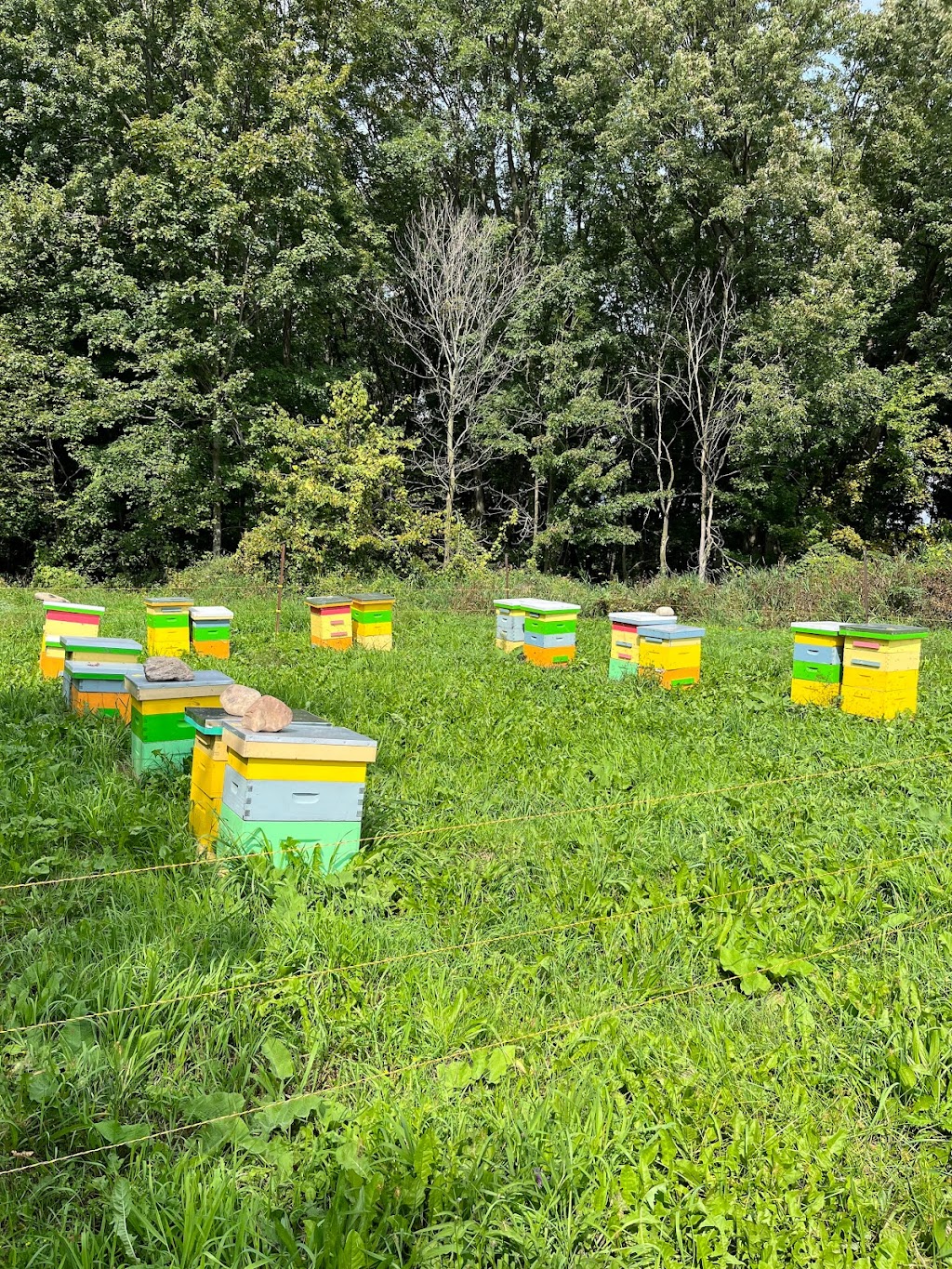 Just Call Me Honey | 84092 Southgate Township Rd 08, Mount Forest, ON N0G 2L0, Canada | Phone: (519) 261-0349