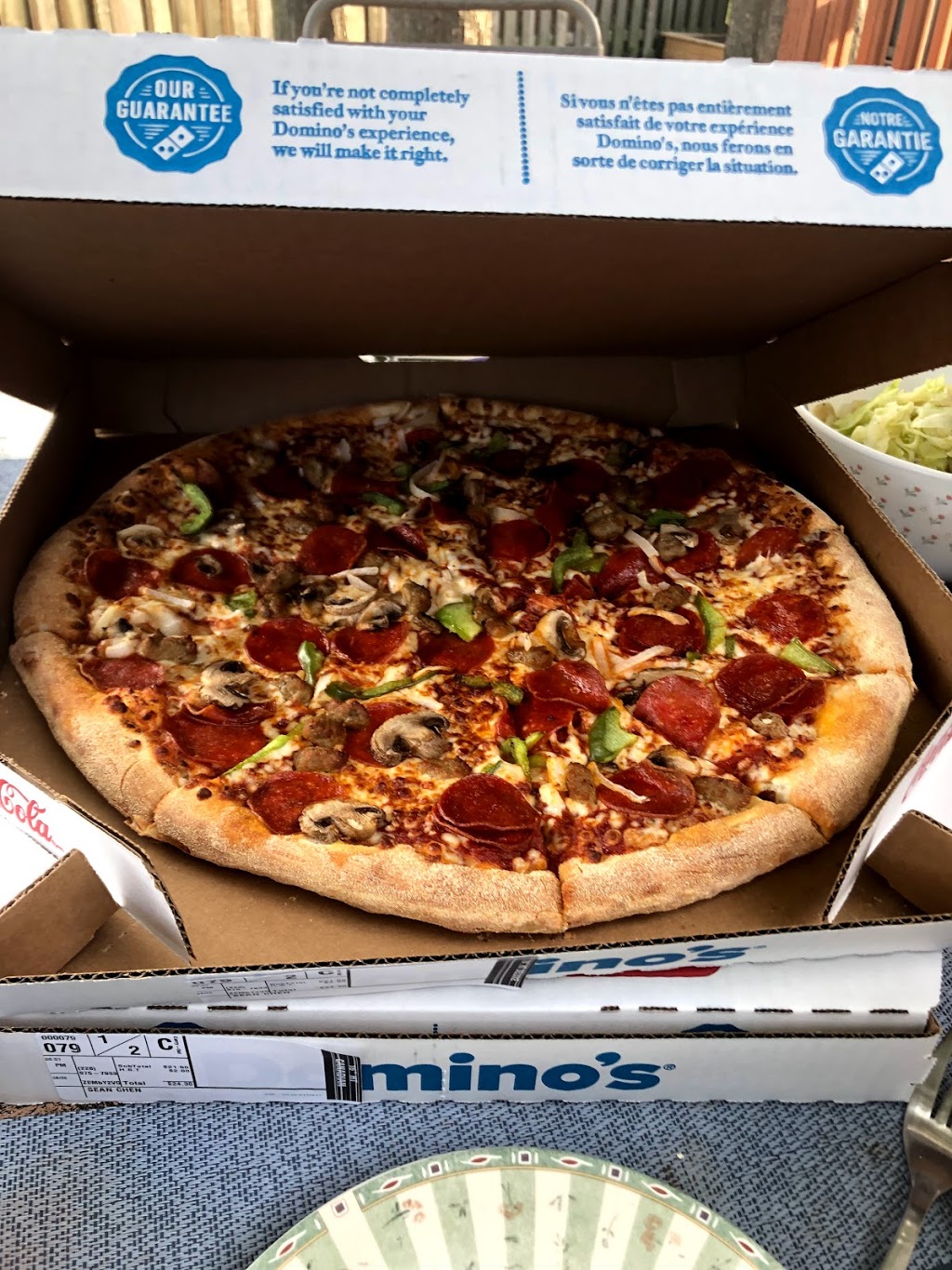 Dominos Pizza | 8414 Wyandotte St E, Windsor, ON N8S 1T6, Canada | Phone: (519) 945-9800