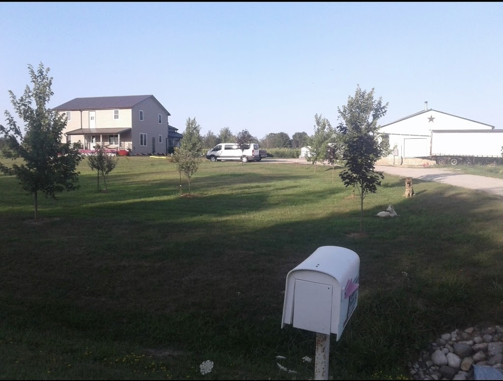 Abram Martens | 90020 Gilmour Line, Wingham, ON N0G 2W0, Canada | Phone: (226) 841-8196